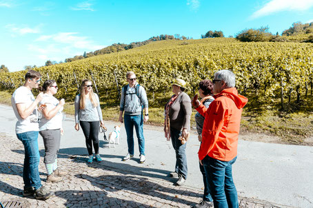 Kulinarische Weinwanderung – Sachsentour