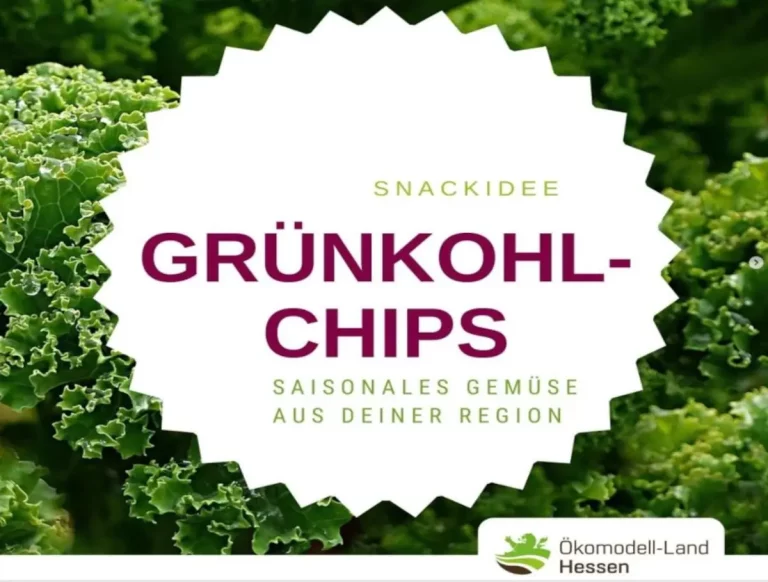 Rezept Grünkohl-Chips von Oekomodell-Land Hessen