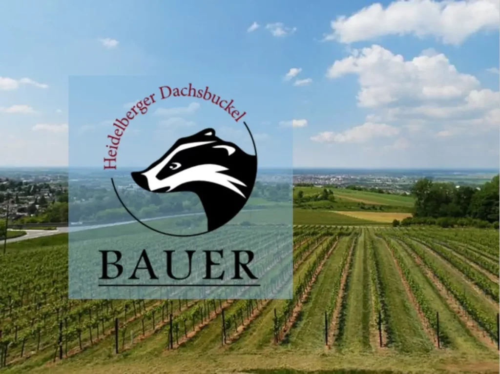 Weingut Bauer - Heidelberger Dachsbuckel (Titelbild)