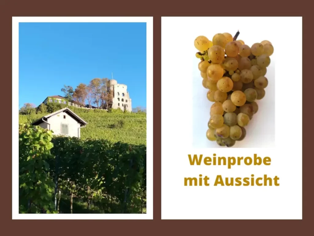 Weinproben Bergstraße - Kai Probst - Partner von Jahreszeiten regional erleben - Weinproben mit Aussicht