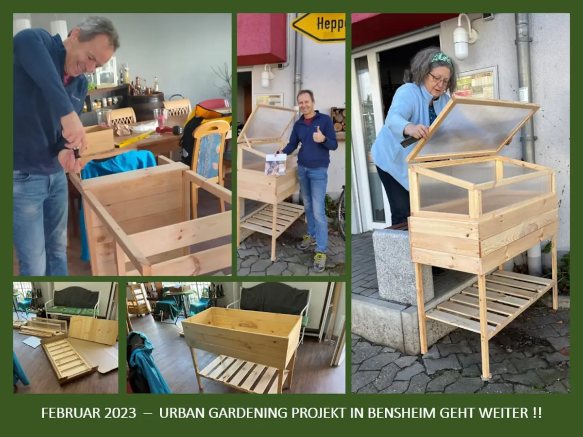 Genial Regional Verein - Projekt - Urban Gardening 2023