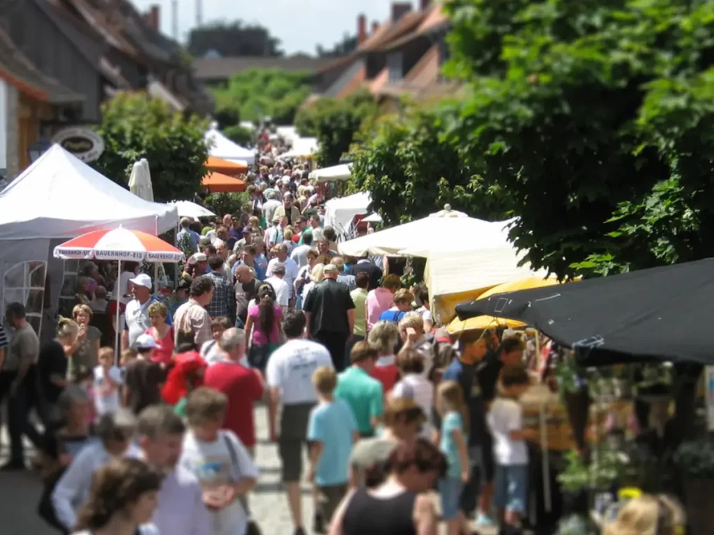 Geschichtsverein Zwingenberg - Veranstaltung - Bauern und Handwerkermarkt
