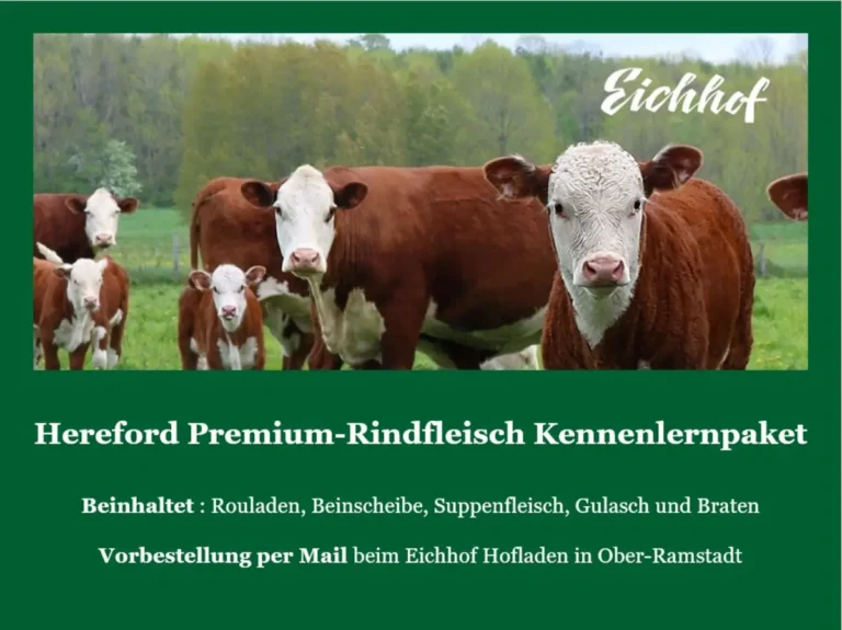 Hereford Premium-Rindfleisch Kennenlernpaket