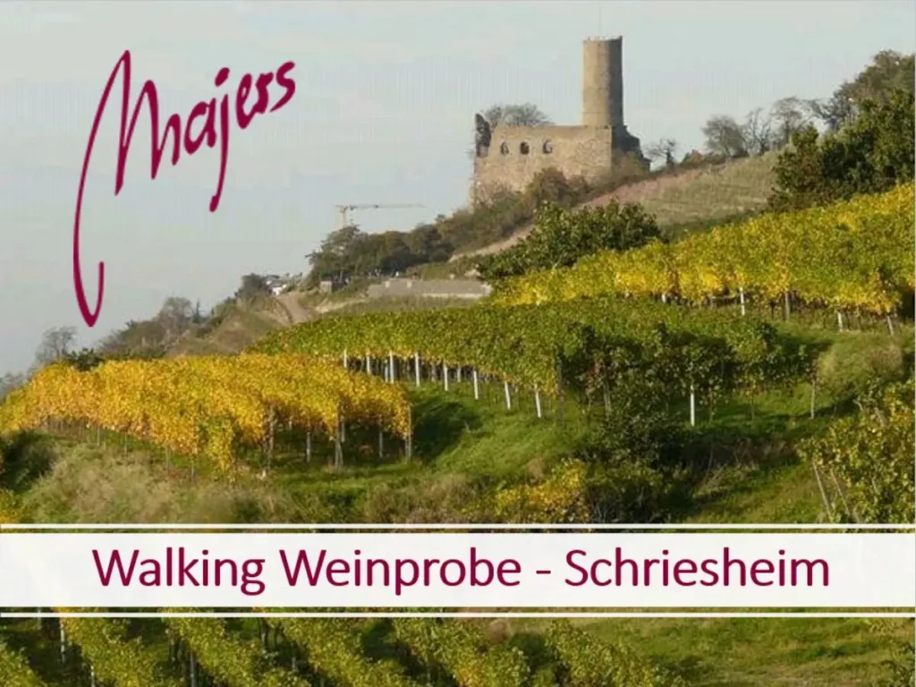 Majers Weinscheuer - Veranstaltung - Walking Weinprobe - Schriesheim