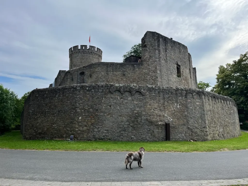 Jahreszeiten - Lieblingsplatz - Alsbacher Schloss