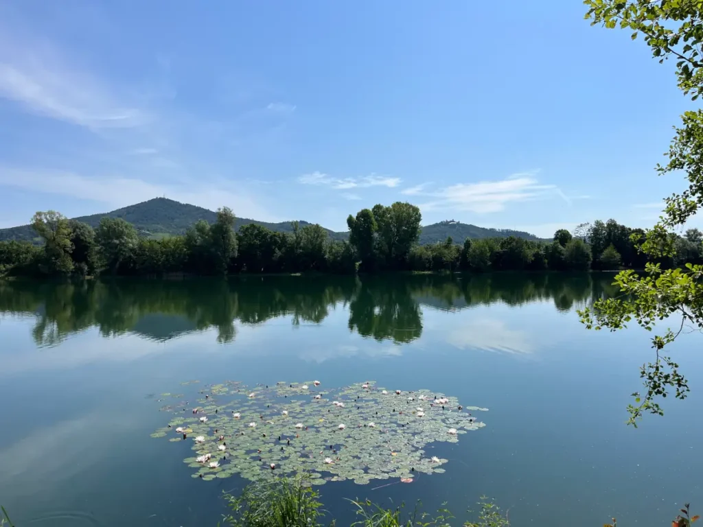 Jahreszeiten - Lieblingsplatz - Niederwaldsee Rodau