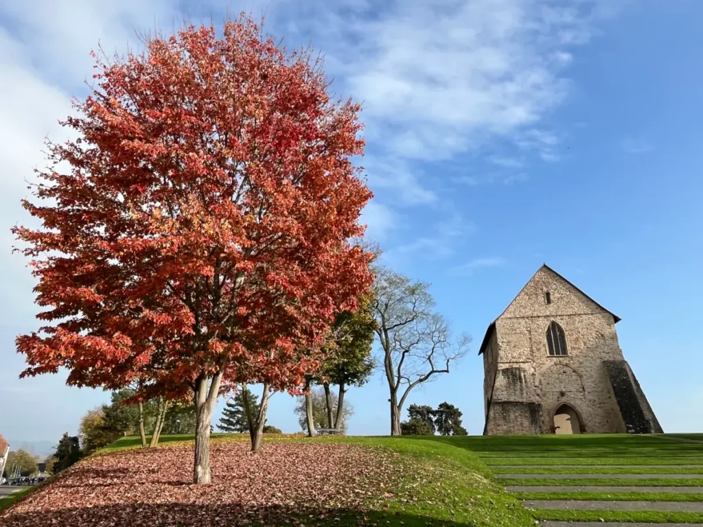 Jahreszeiten - Lieblingsplatz - Kloster Lorsch