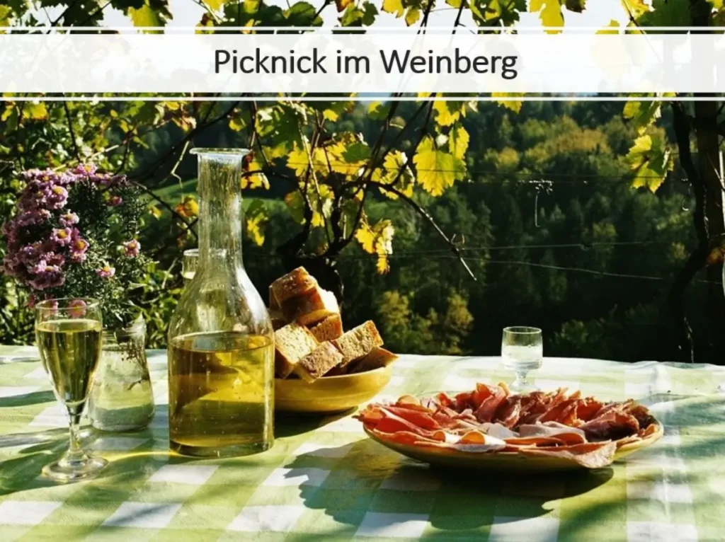 Majers Weinscheuer - Schriesheim - Veranstaltung - Picknick im Weinberg