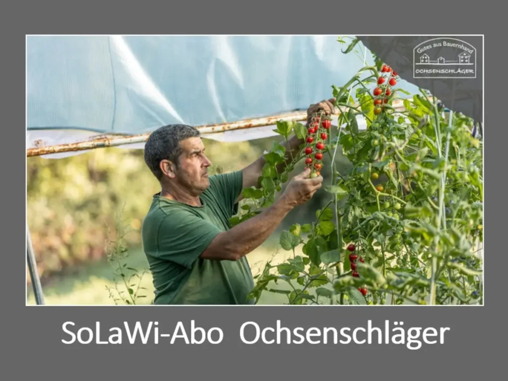 Hofgut Ochsenschläger - Solidarische Landwirtschaft - SoLaWi-Abo