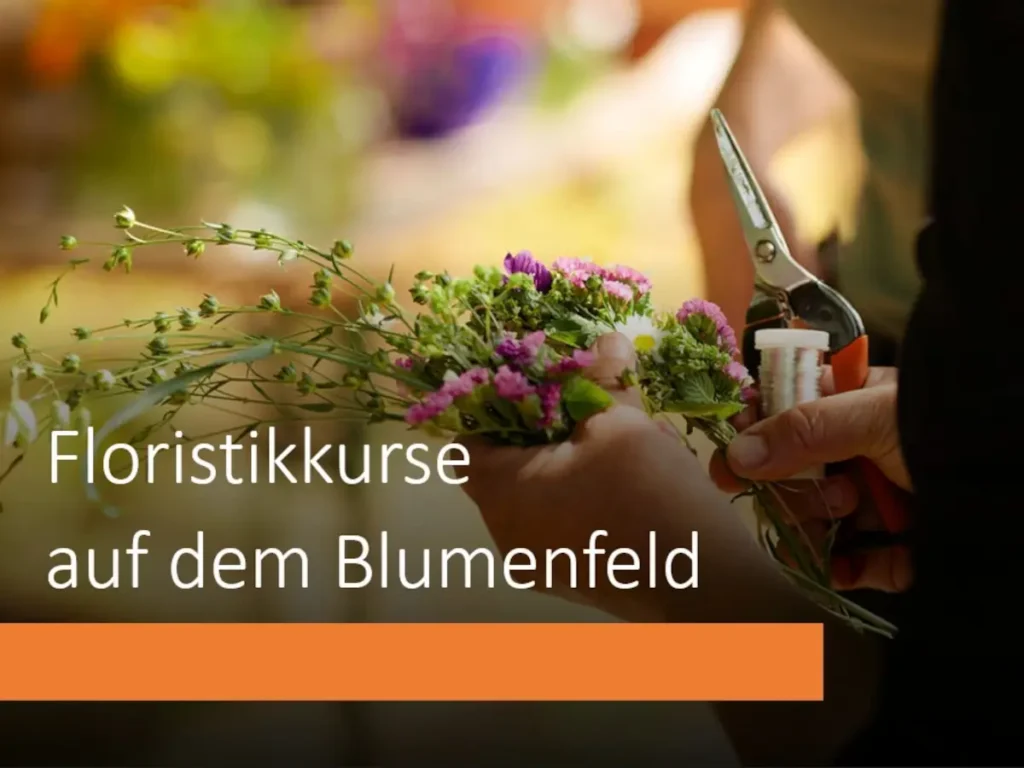 FeldBlume Tanja Knösel - Weiterstadt - Floristikkurse auf dem Blumenfeld